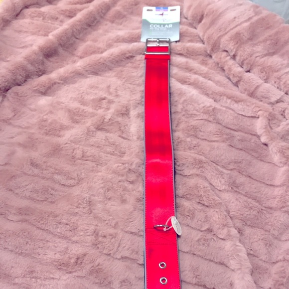 🎉HP🎉 🆕 Big Dog•Padded Collar Reflect*Pull-Tested1000lbs - Picture 9 of 15